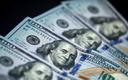 Dolar pozostanie królem przez kolejne 25 lat