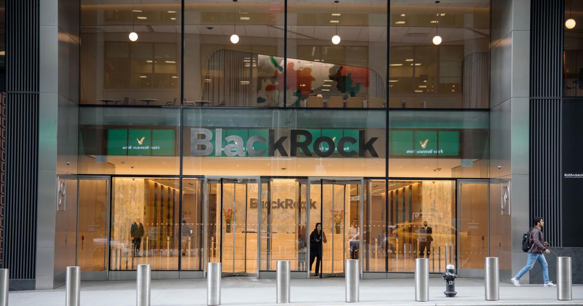 BlackRock: Patrz Na AI Poza Sektorem Technologicznym - Puls Biznesu - Pb.pl