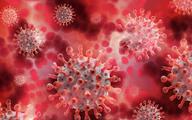 Zagrożenie żylną chorobą zakrzepowo-zatorową u chorych na COVID-19