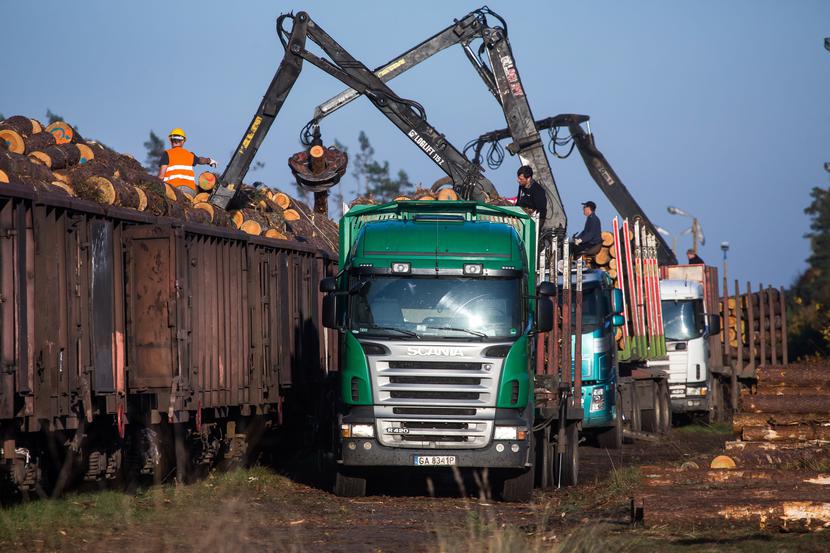 Biomasa idzie w odstawkę. Biomasa idzie w odstawkę.