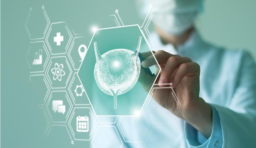 Zadania NST na lata 2024-2032 będą opracowywane i proponowane przez Krajową Radę Transplantacyjną. Zadania NST na lata 2024-2032 będą opracowywane i proponowane przez Krajową Radę Transplantacyjną.