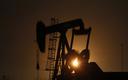 OPEC podwyższa prognozę podaży ropy spoza kartelu