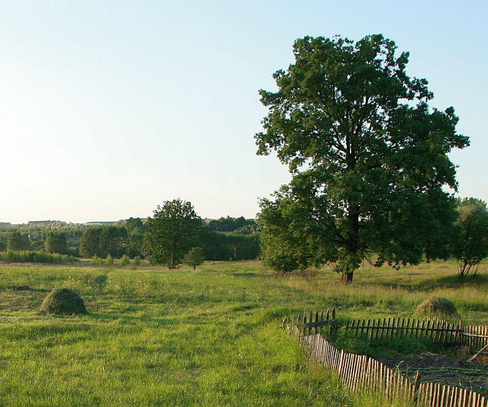 fot. Grzegorz Kawecki