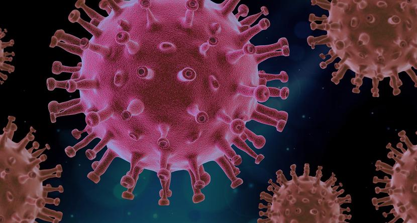 Zrekonstruowany drobnoustrój to MS2 - jeden z bakteriofagów, czyli wirusów atakujących bakterie. 