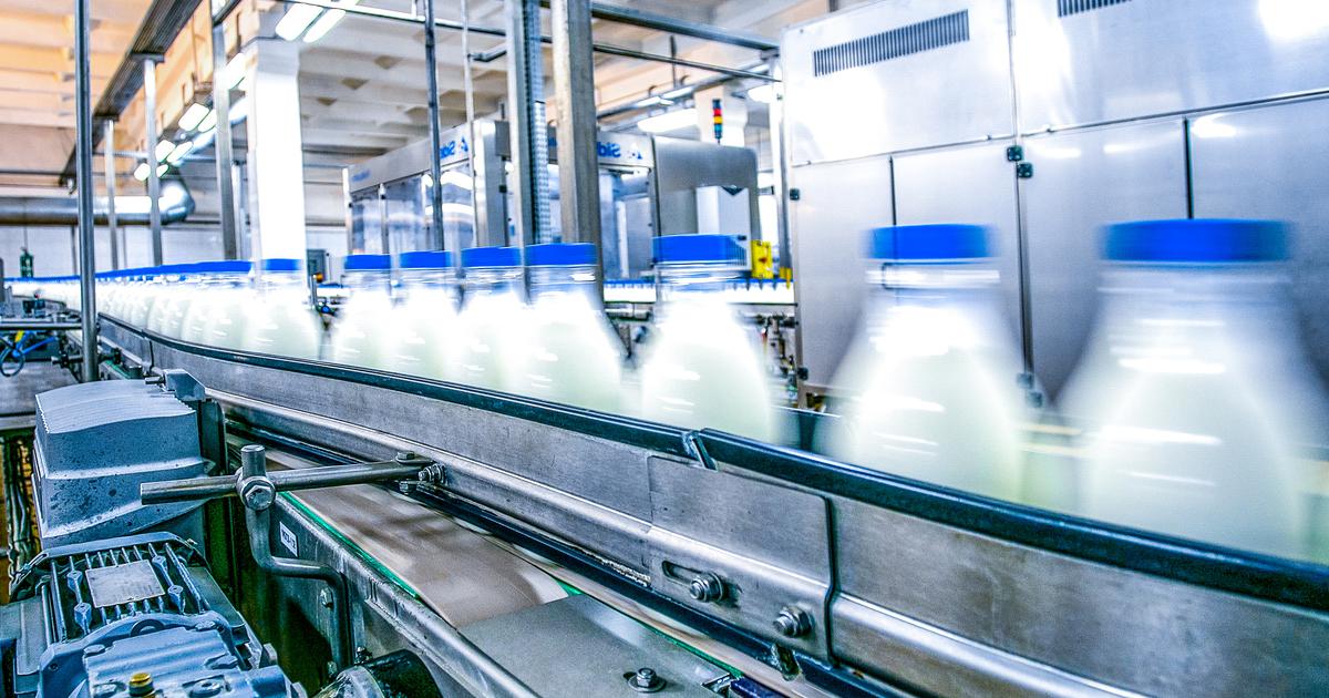 Duńczycy i Niemcy tworzą nabiałowego giganta - Puls Biznesu - pb.pl