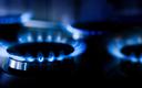 Niemcy: dostawcy gazu będą mogli przenieść część kosztów na konsumentów
