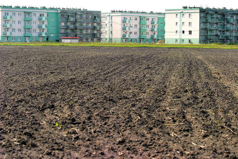 NIE DLA KAŻDEGO: Ziemi inwestycyjna, która cieszy się sporym zainteresowaniem,
 kosztuje znacznie więcej niż grunty rolne. [FOT. GK]