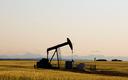 OPEC+ rozważa redukcję wydobycia ropy ze względu na koronawirus