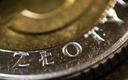 Złoty kontynuuje umocnienie; rentowności obligacji w górę