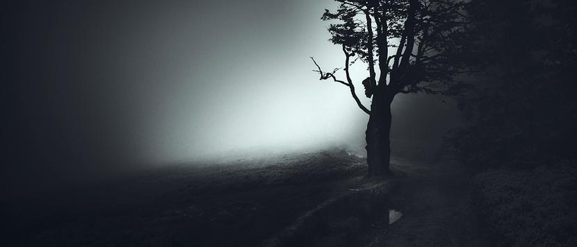 Ukryte: