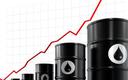Analitycy: wysokie ceny ropy zahamują gospodarkę eurolandu