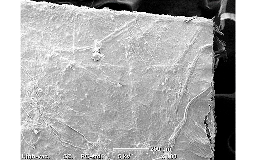 Struktura papierowego kompozytu z celulozy bakteryjnej i włókien sosny, zdjęcie spod mikroskopu skaningowego