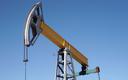 Duży gracz z rynku ropy i gazu wstrzymał nowy biznes w Rosji