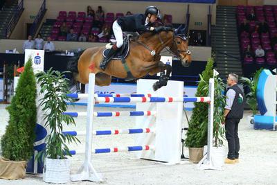 Quickstep D  - Braig Marcel  - Cavaliada Warszawa – 12.03.2015