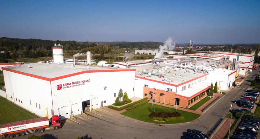 Jeszcze więcej frytek i placków: Jeszcze więcej frytek i placków: