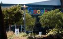 Pracownicy Google'a z USA założyli związek zawodowy