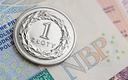 Euro-Tax.pl planuje wypłacić 0,16 zł dywidendy na akcję