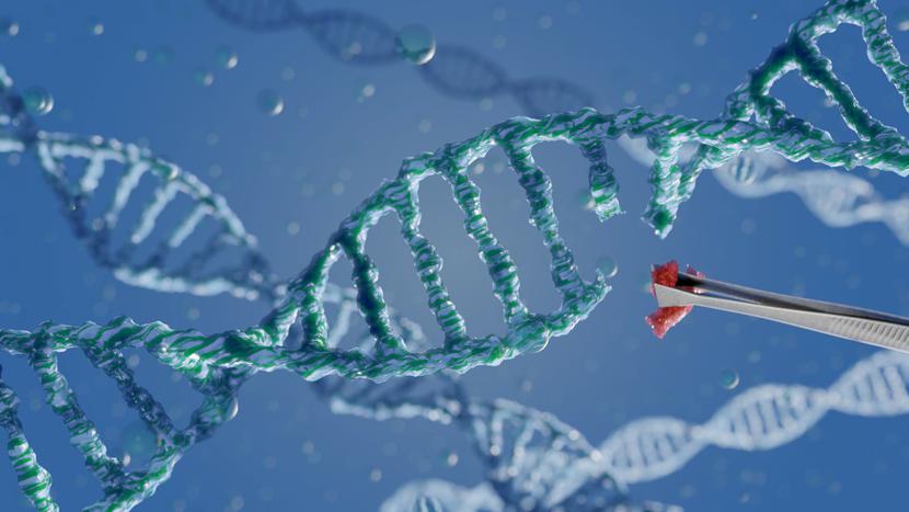 CRISPR to nowa i rewolucyjna metoda edycji genów, odkryta w 2012 r. przez Jennifer Doudnę i Emmanuelle Charpentier, za co otrzymały one w 2020 r. nagrodę Nobla z chemii. CRISPR to nowa i rewolucyjna metoda edycji genów, odkryta w 2012 r. przez Jennifer Doudnę i Emmanuelle Charpentier, za co otrzymały one w 2020 r. nagrodę Nobla z chemii.