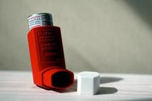Warsztaty: Jak żyć z astmą i alergią?