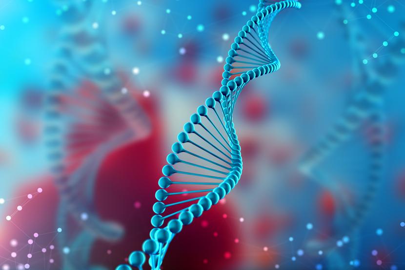 Naukowcy nauczyli się projektować małe cząsteczki DNA z informacjami dla komórki, jak ma używać wybranej części genomu. Wykorzystują do tego systemy sztucznej inteligencji. Naukowcy nauczyli się projektować małe cząsteczki DNA z informacjami dla komórki, jak ma używać wybranej części genomu. Wykorzystują do tego systemy sztucznej inteligencji.
