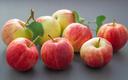 Ile pestycydów spożywamy wraz z owocami? Ustalili to naukowcy z Lublina