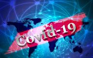 WHO: koronawirus z nami zostanie, będą wytyczne dla rządów, jak sobie radzić ze skutkami COVID-19