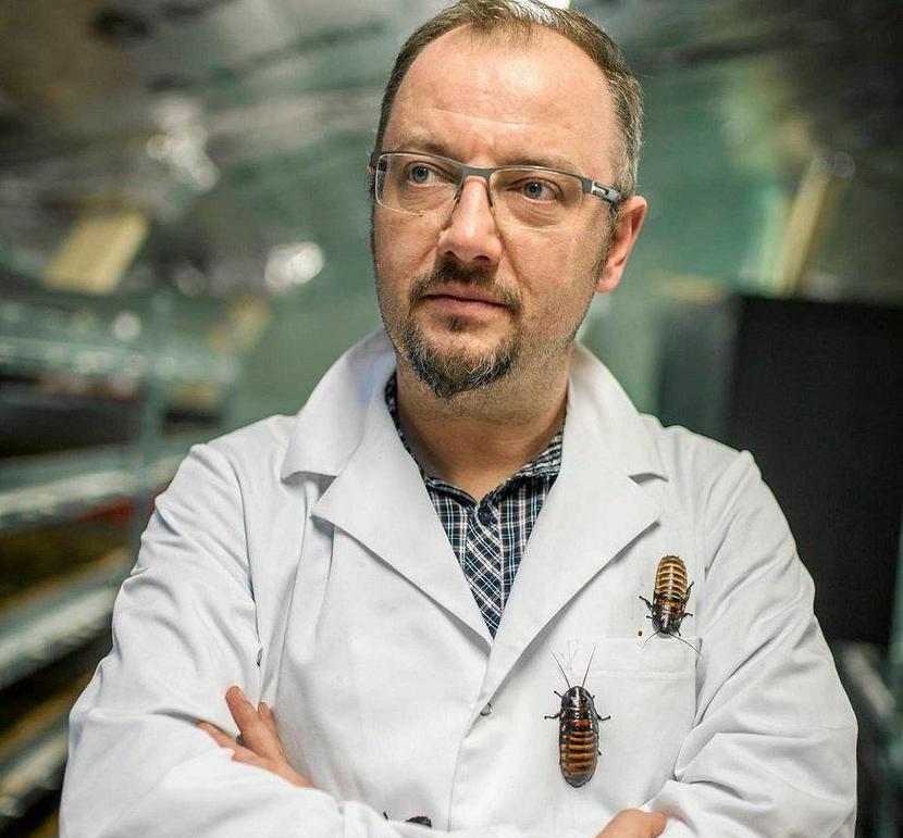 Wszystko da się wyjaśnić