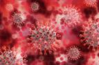 CDC: 60 proc. Amerykanów ma przeciwciała przeciwko SARS-CoV-2