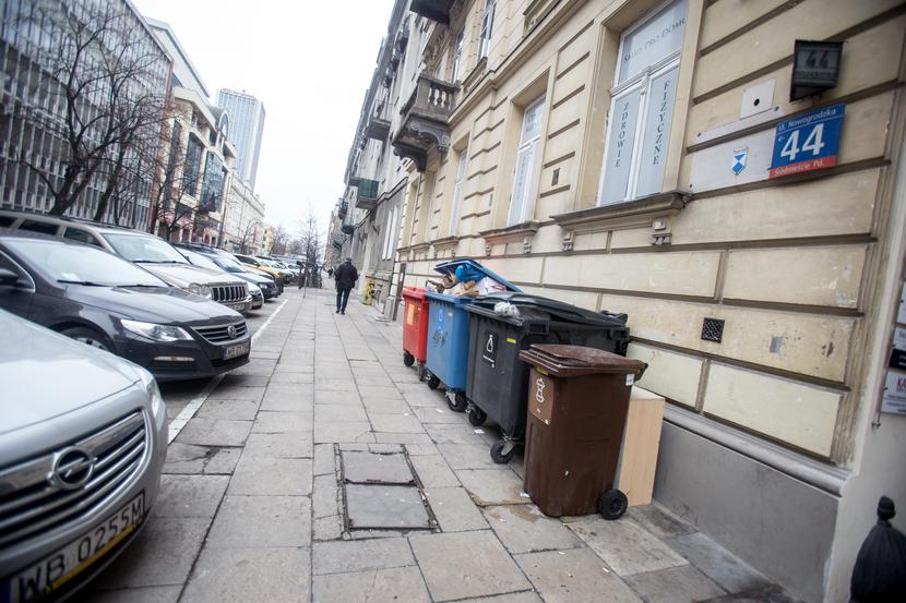 Słone kary: Słone kary: