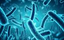 Rola probiotyków w antybiotykoterapii