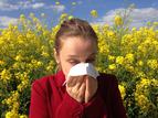 Dlaczego coraz więcej osób uczula się na pyłki? Znamy wyniki badań krakowskich naukowców