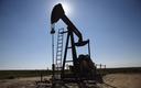 Rynki w Zatoce Perskiej optymistyczne pomimo niestabilnych notowań ropy