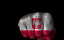 Polska najlepiej na świecie przekłada wzrost na jakość życia