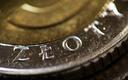 Złoty kończy kwiecień mocniejszy do dolara i słabszy do euro