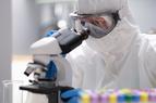 GUS: wzrosły nakłady firm na działalność biotechnologiczną
