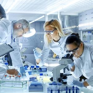 Polski kapitał, globalny zasięg