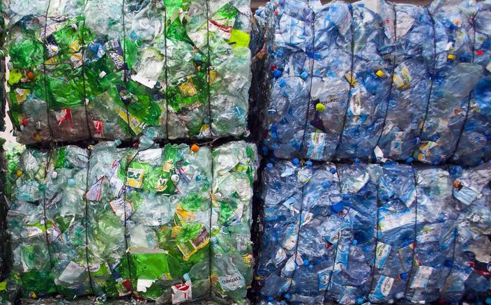 fot. Marek Wiśniewski fot. Marek Wiśniewski