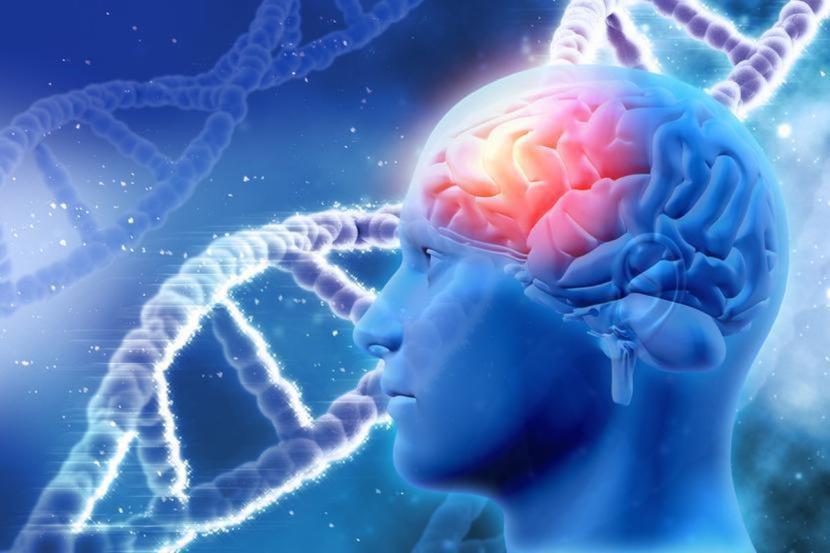 Lecanemab, bo o tym leku mowa, jest przeznaczony dla pacjentów z łagodnymi objawami choroby Alzheimera i na jej wczesnym etapie. Lecanemab, bo o tym leku mowa, jest przeznaczony dla pacjentów z łagodnymi objawami choroby Alzheimera i na jej wczesnym etapie.