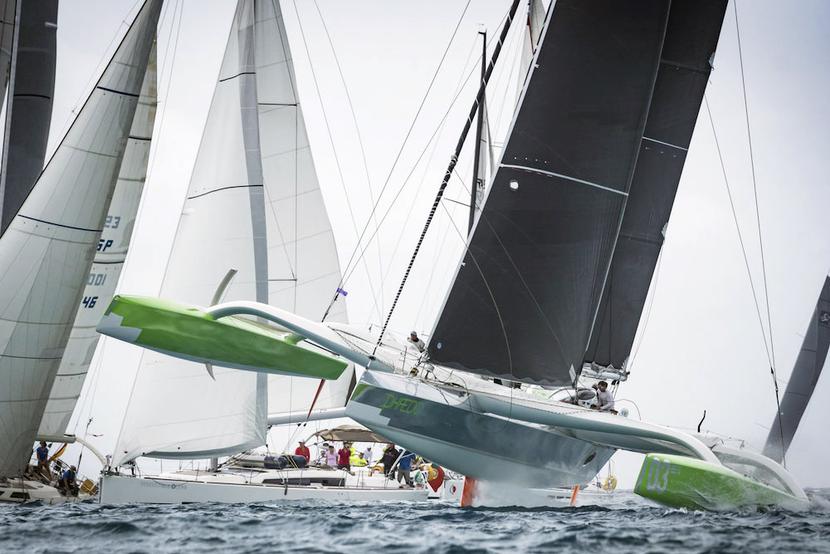 Heineken Regatta: