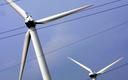 PSE: 1 lutego padł rekord wytwarzania prądu w farmach wiatrowych