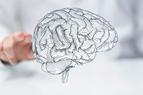 Kongres EAN: co nowego w neurologii oraz polskie badania nad amantadyną