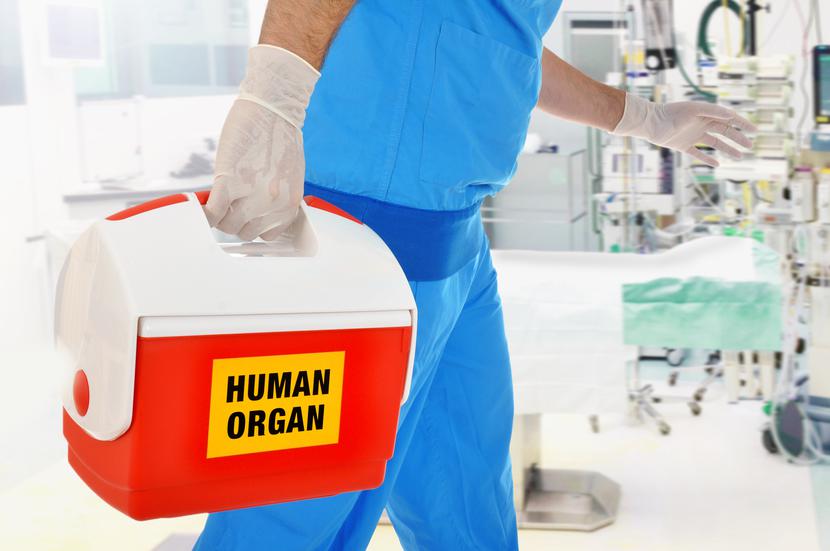 Dzięki odkryciu naukowców organy mogą funkcjonować normalnie, w temperaturze zbliżonej do tej, jaką ma ludzkie ciało przez kilka dni, a nawet tygodni i nie tracą na wartości. Dzięki odkryciu naukowców organy mogą funkcjonować normalnie, w temperaturze zbliżonej do tej, jaką ma ludzkie ciało przez kilka dni, a nawet tygodni i nie tracą na wartości.