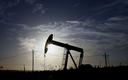 ZEA: tania ropa zmusi producentów do zamrożenia wydobycia