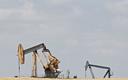 OPEC obniża prognozę popytu na ropę