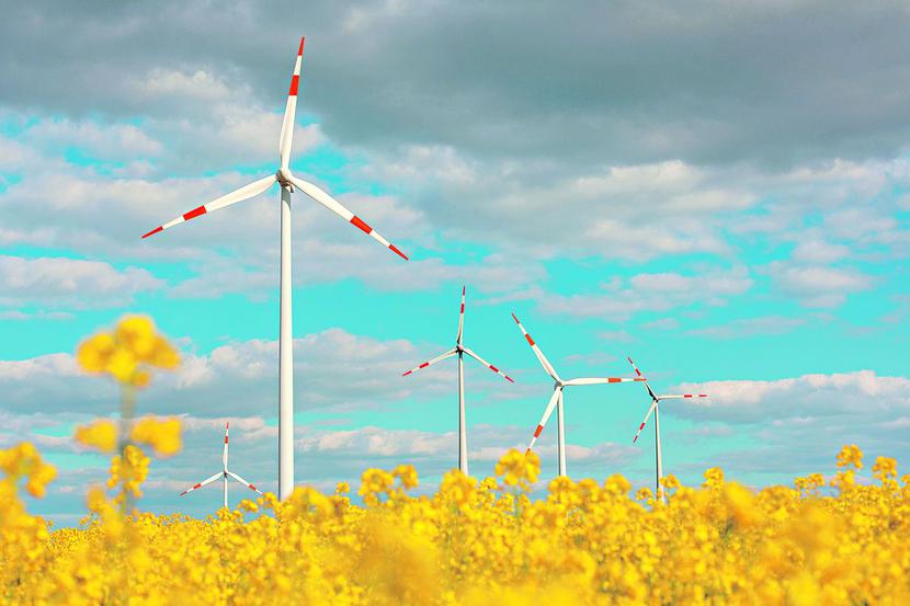 PROMOCJA FIRMY I ZIELONEJ ENERGII: