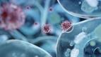 Naukowcy z UW zbadali substancje, które mogą hamować koronawirusa