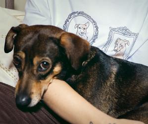 Marka modowa Elementy dołączyła do&nbsp;akcji charytatywnej Nakarm Psa z&nbsp;OLX