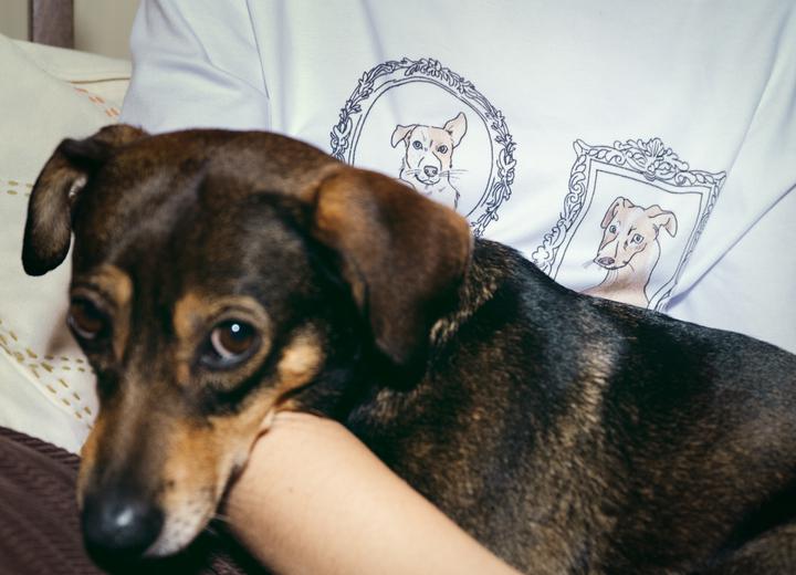 Marka modowa Elementy dołączyła do&nbsp;akcji charytatywnej Nakarm Psa z&nbsp;OLX