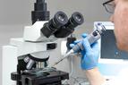 Sosnowiec: pierwszy w Polsce autorski program in vitro
