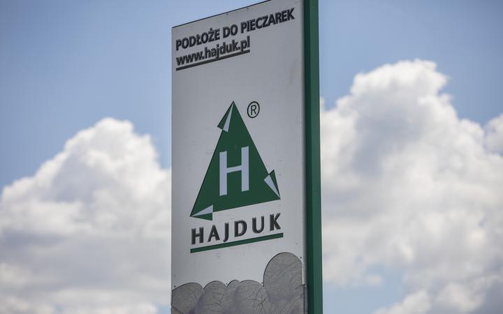 Grupa Hajduk i jej klony